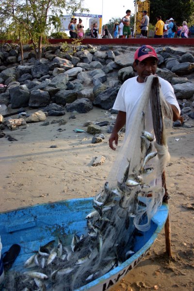 Fisherman's daily catch